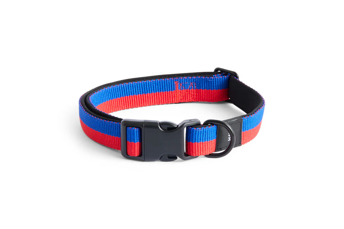 DOGS COLLAR FLAT-M/L