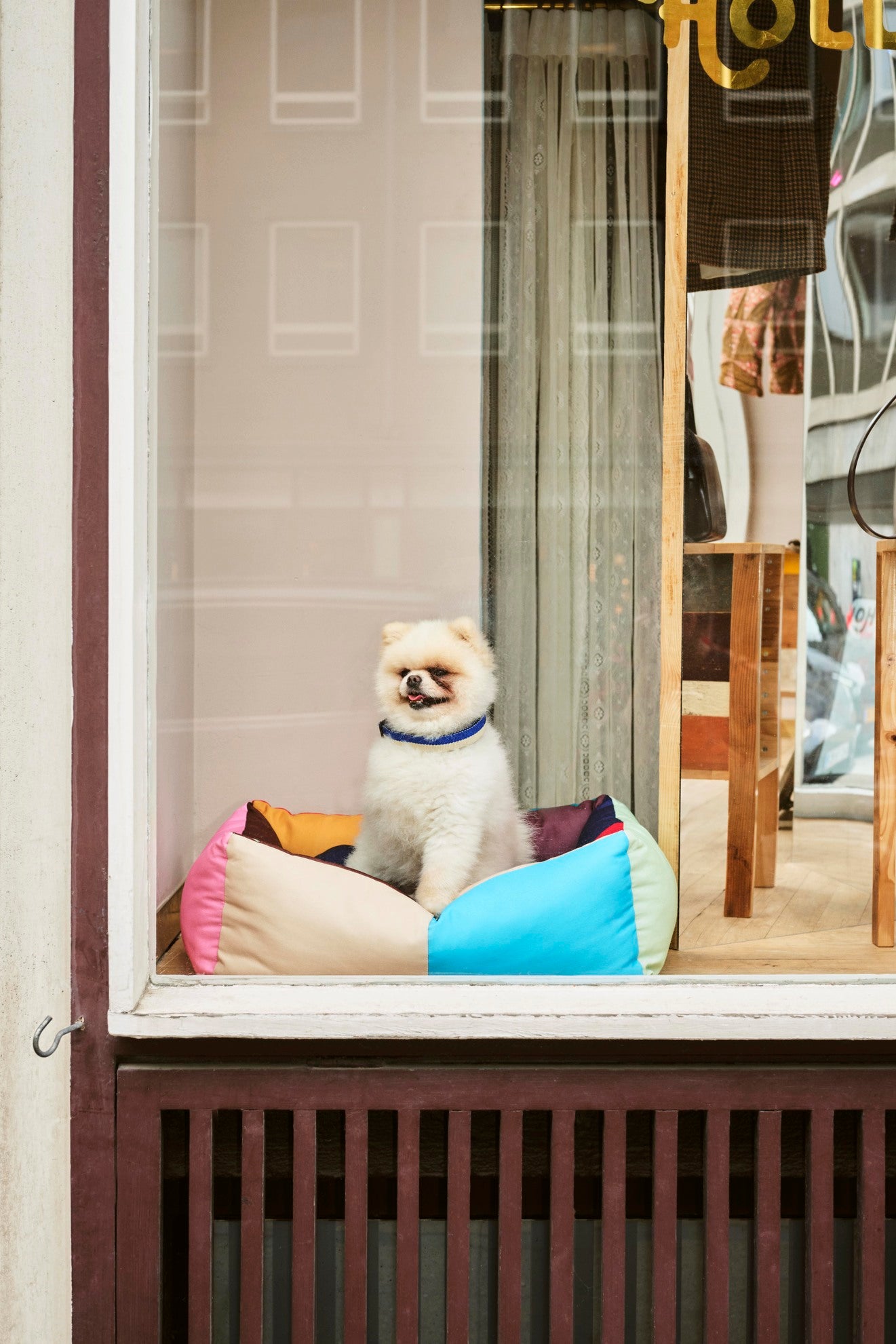 DOGS BED - SMALL